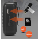 Voice Amplifier with Throat Mic